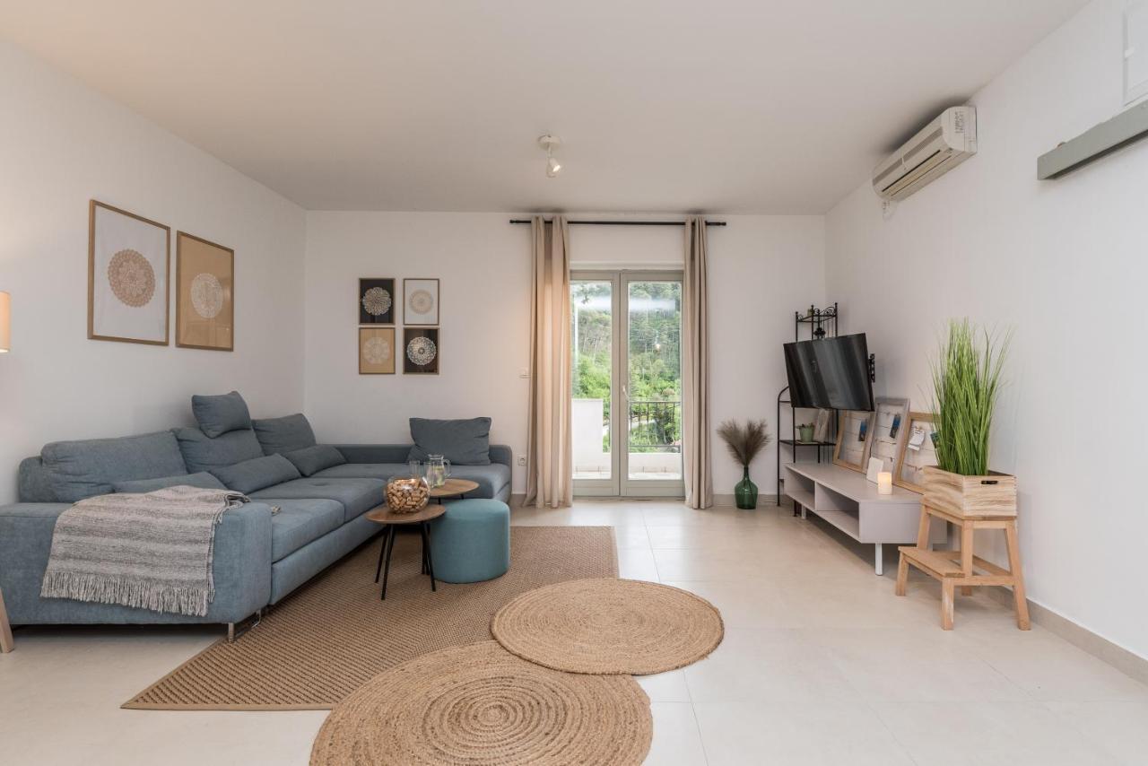 Villa Calendula Novigrad (Dalmatia) Exterior foto
