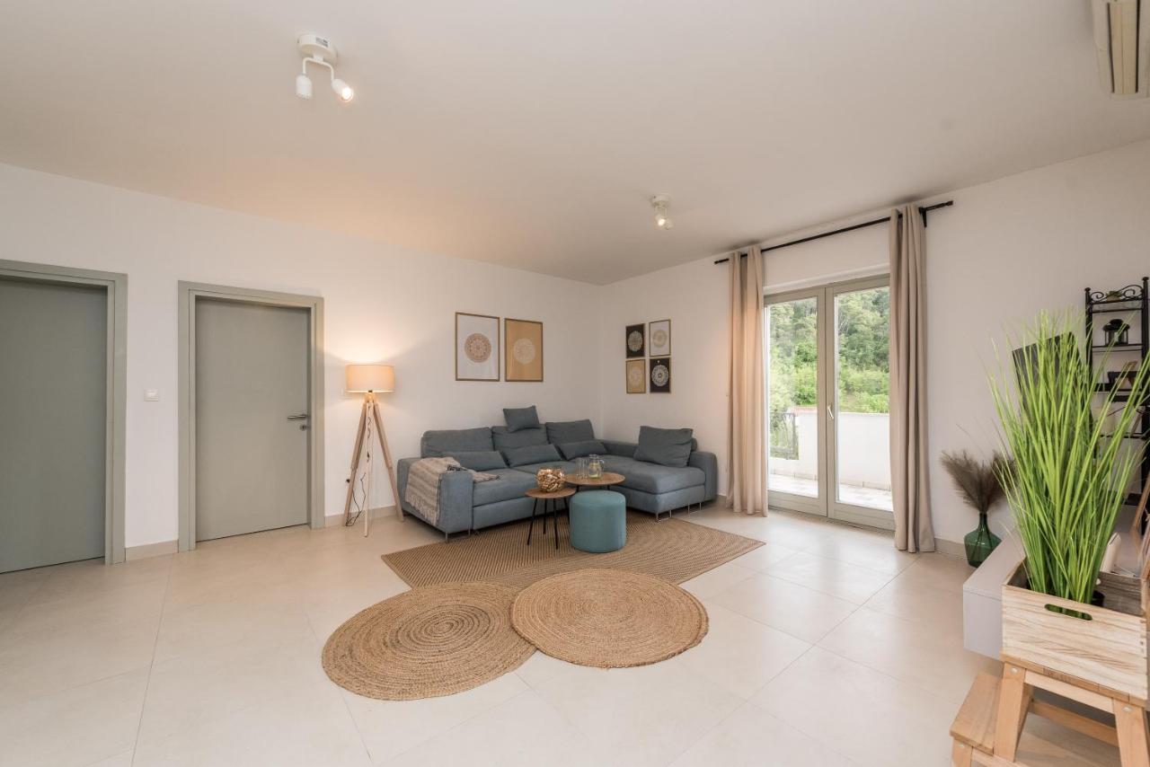 Villa Calendula Novigrad (Dalmatia) Exterior foto