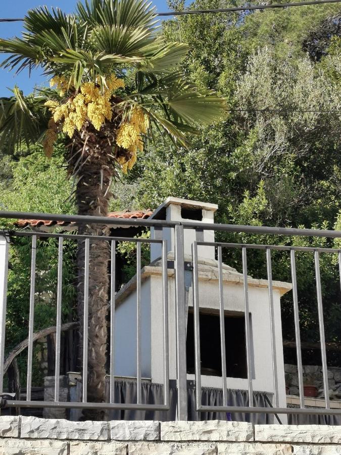 Villa Calendula Novigrad (Dalmatia) Exterior foto